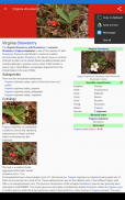 Encyclopedia of Berries. Photo screenshot 9
