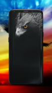 Eagle Wallpaper screenshot 5