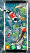 Koi Fish Live Wallpapers 3D screenshot 1