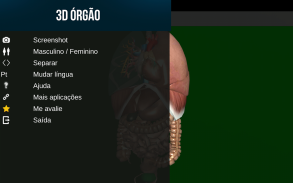 Órgãos Internos em 3D (Anatomia) screenshot 9