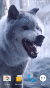 Wolf Video Live Wallpaper screenshot 2