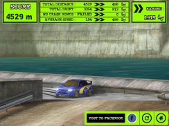 Rally Racer Dirt screenshot 13