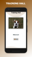 Dogs Breed Quiz - Guess the Dogs Breeds screenshot 4