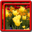 flores Live Wallpapers Icon