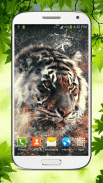 Tiger Papel de Parede Animado screenshot 0