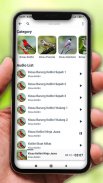 1000 Kicau Burung Lengkap screenshot 3