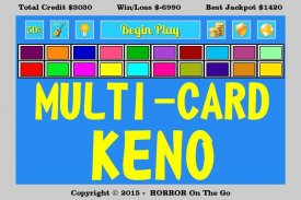 Multi-Card Keno screenshot 7