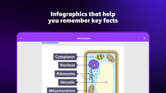 BBC Bitesize screenshot 3