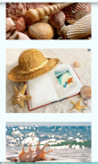 Seashells Images Wallpapers screenshot 3