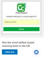Carpet Cleaning Website screenshot 1