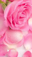 AppLock Theme Pink Rose screenshot 2