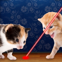 Laser Pointer for Cat Simulator