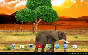 Safari Live Wallpaper screenshot 3