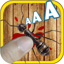 Matar hormigas - Aplastar hormigas Icon