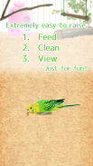 治愈的鹦鹉育成游戏 screenshot 7