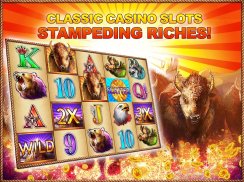 Buffalo Bonus Casino Free Slot screenshot 9