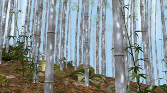 Bamboo Forest Wallpaper Lite screenshot 9