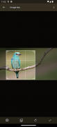 Bird List: Aves Tellus screenshot 9