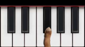 Dog Piano screenshot 2