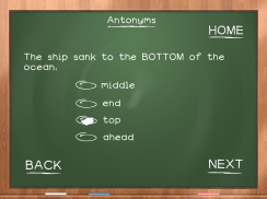 Ultimate Grammar For Kids screenshot 4