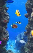 Aquarium and fishes screenshot 4