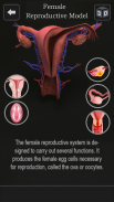 Female Anatomy 3D -Female Organs, Bones & Skeleton screenshot 0