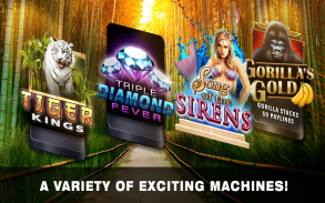 Slots Tiger King Casino Slots screenshot 2