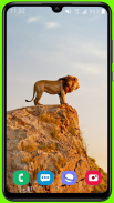 Lion Wallpaper Best HD screenshot 13
