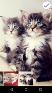 Cute Kitten Lock Screen screenshot 4