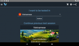 Vietnamese Language Tests screenshot 18