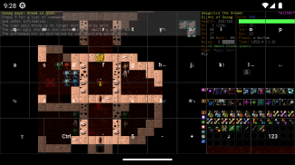 Dungeon Crawl Stone Soup screenshot 0