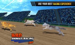 Animaux sauvages Racing 3D screenshot 4
