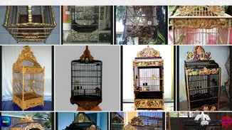 the idea of a bird cage collection screenshot 0