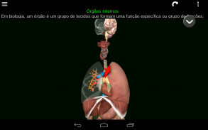Órgãos Internos em 3D (Anatomia) screenshot 15