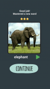 Learn Animals Names in English Pictures Words Quiz screenshot 0