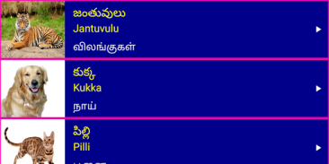 Learn Telugu From Tamil screenshot 5