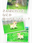 癒しの子犬育成ゲーム〜チワワ編〜 screenshot 8