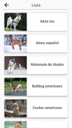 Razas de perros - Quiz! screenshot 3