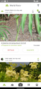 プラントネット (PlantNet) 植物図鑑アプリ screenshot 8