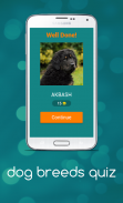 dog breeds quiz screenshot 12