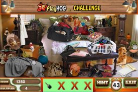 Challenge #223 Bright Home New Hidden Object Games screenshot 2