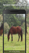 Horse Live Wallpaper screenshot 2