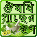 হারবাল চিকিৎসা ~ Harbal medicine in bangla