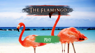 The Flamingo screenshot 1