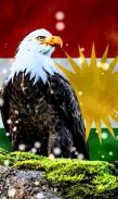 Koerdische Vlag Wallpapers screenshot 8