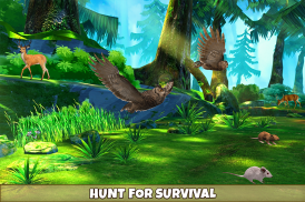 Wild Owl Bird Family Survival screenshot 4