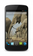 Elephant Free Video Wallpaper screenshot 1