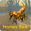 Honey Bee Simulator Icon