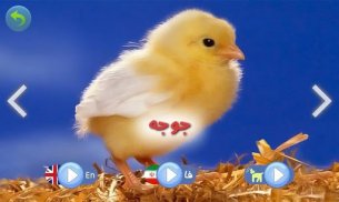 Animal Sounds for Kids screenshot 7