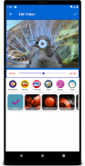 Photo to Video - Video Maker screenshot 3